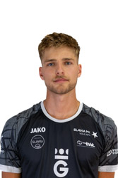 Dominik Rokl