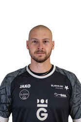 Miroslav Drozen