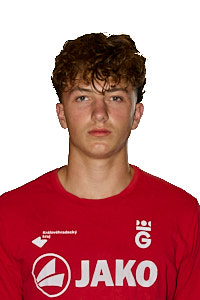 Pavel Krejčík